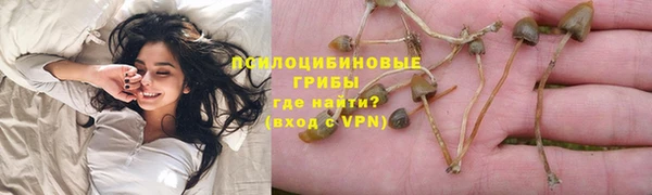 ПСИЛОЦИБИНОВЫЕ ГРИБЫ Армянск