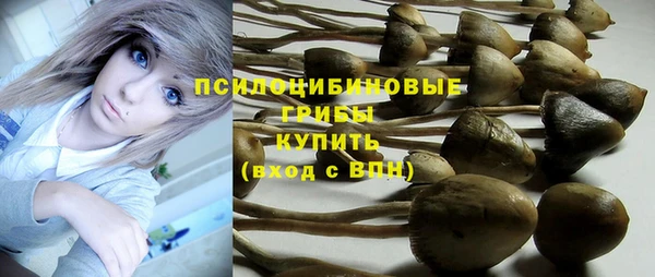 ПСИЛОЦИБИНОВЫЕ ГРИБЫ Армянск
